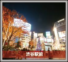 東京観光六本木ミッドタウンクリスマスイルミネーション