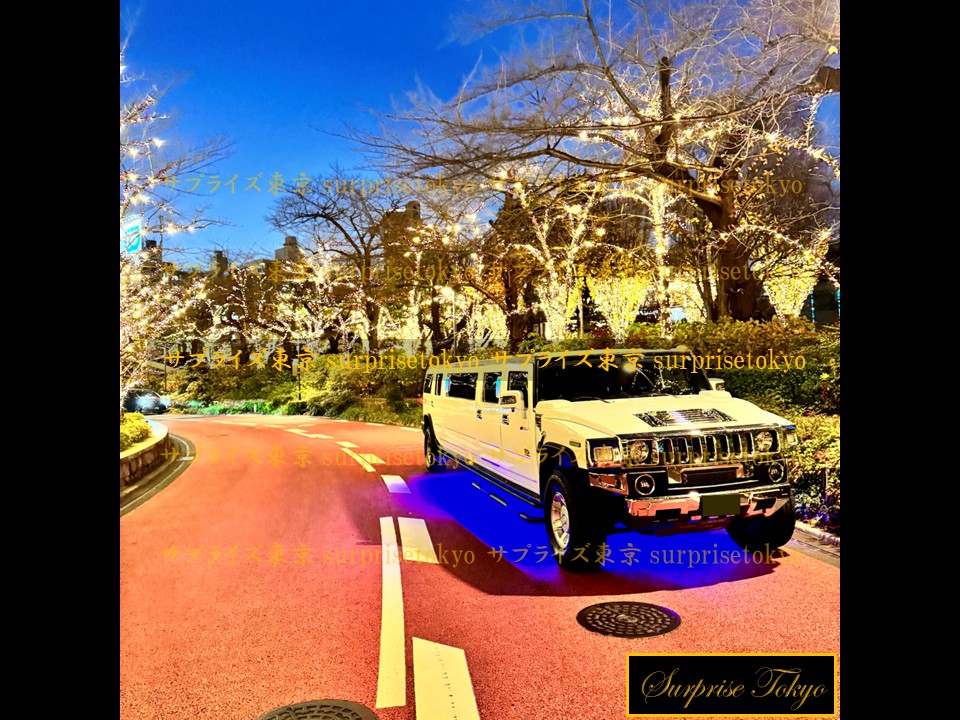 �n�}�[H2�����W��13