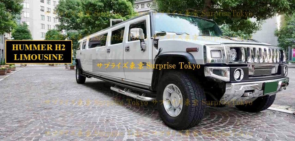 �n�}�[H2�����W�����C���摜