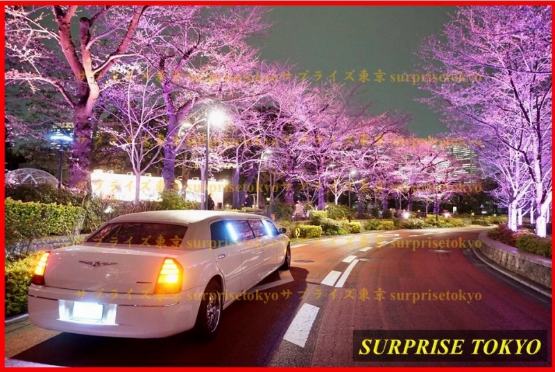 サプライズ東京TOP画像リムジン桜