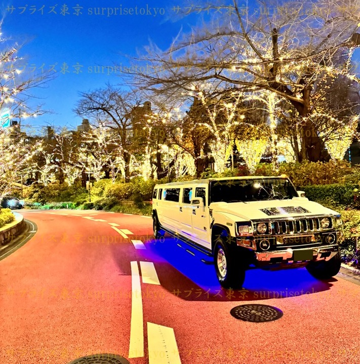 リムジンはサプライズ東京TOP画像